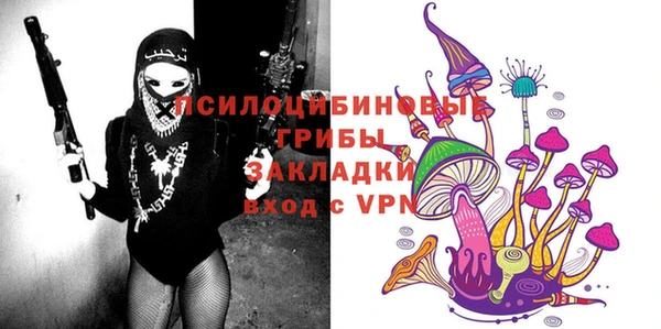 спиды Алзамай