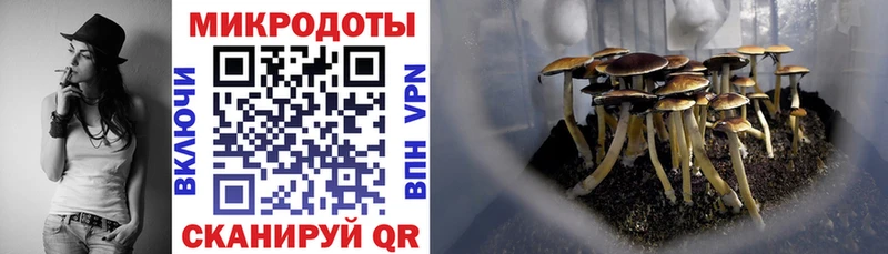Галлюциногенные грибы ЛСД Пролетарск
